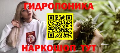 тгк Краснознаменск