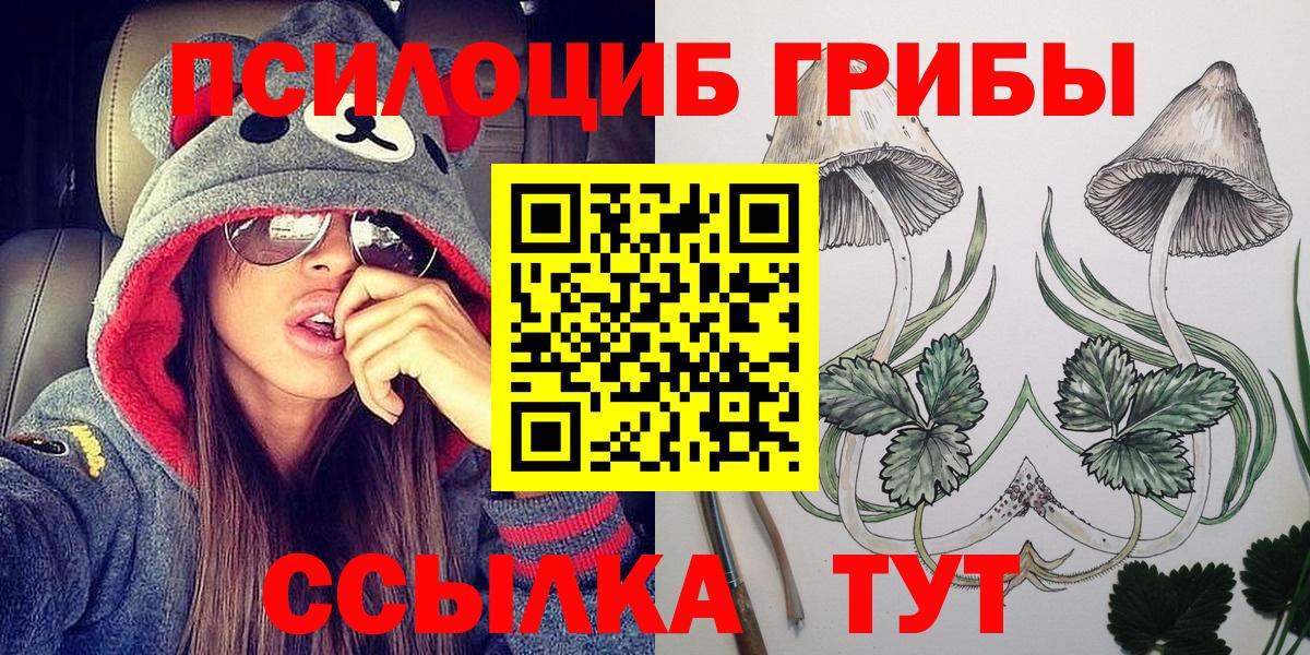 Псилоцибиновые грибы Cubensis Калининград