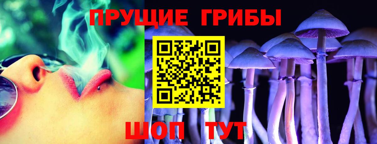 Калининград  Псилоцибиновые грибы MAGIC MUSHROOMS  Галлюциногенные грибы MAGIC MUSHROOMS  Вход с VPN 